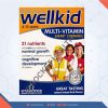 Wellkid-Multivitamin-Smart-Chewable